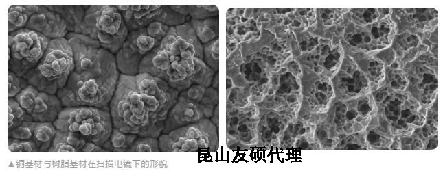 丹东蔡司丹东扫描电镜