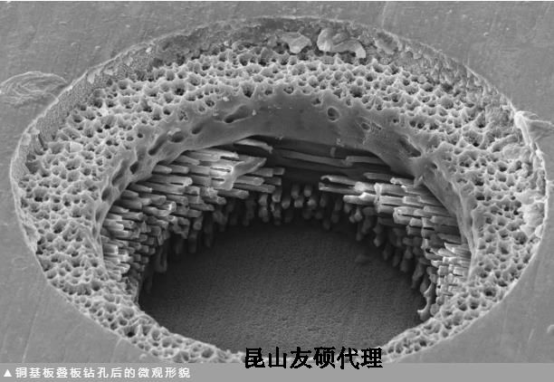 丹东蔡司丹东扫描电镜